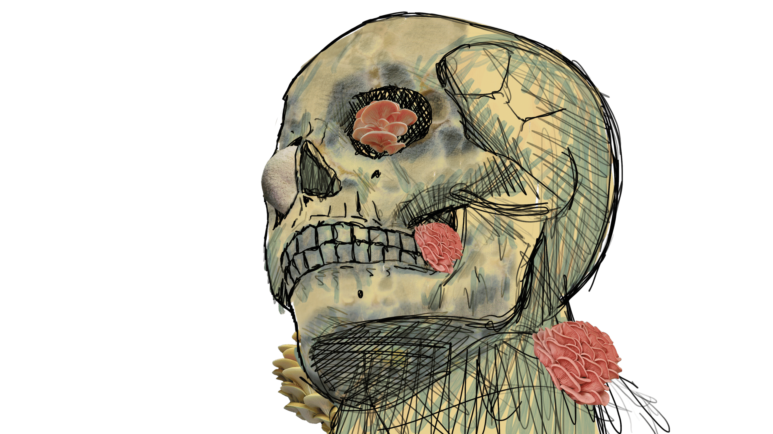 BR4738 - The Avowed - Animatic - 169 - Edit 1 - 2025-02-07.00_00_22_01.Still026