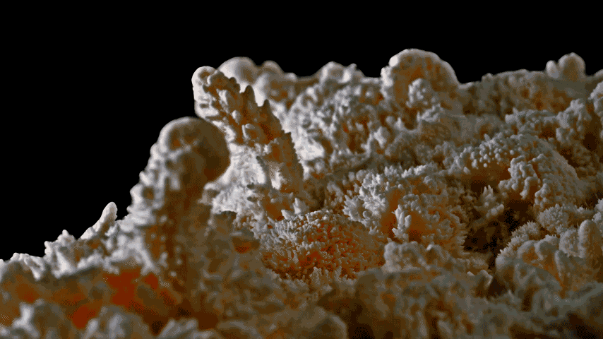 BR4738---The-Avowed---Timelpase-export-D